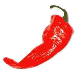 capsaicin powder