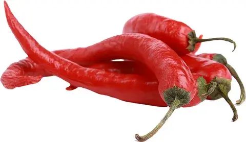 capsaicin capsaicin