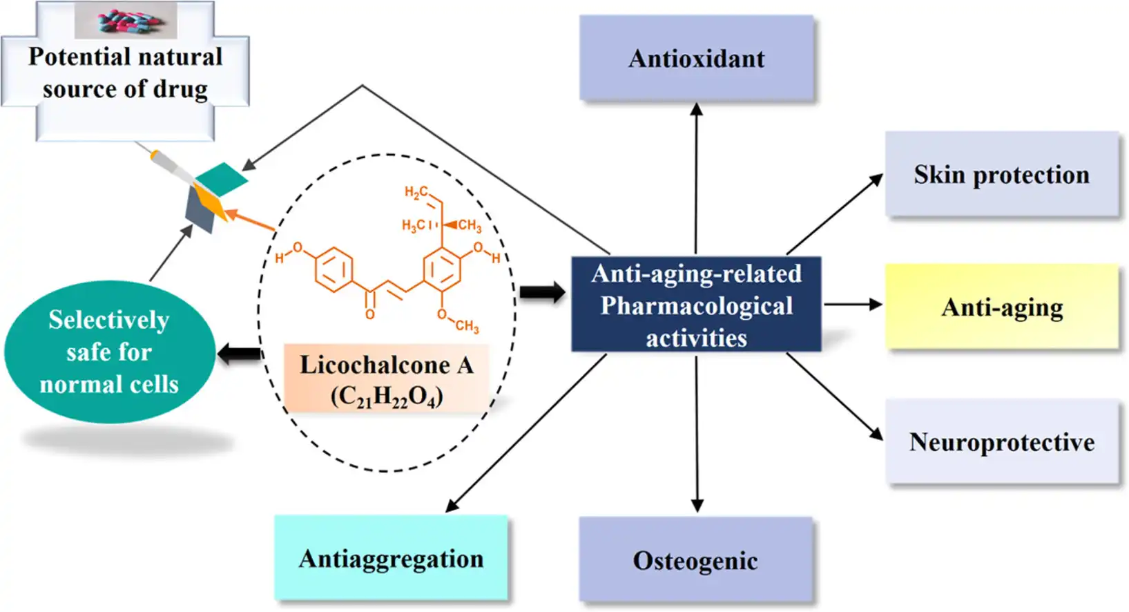 Functions of LCA