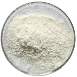 Chitosan Powder