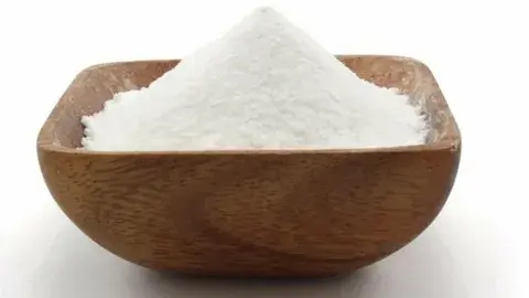 Chitosan Powder