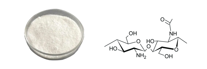 Chitosan Powder