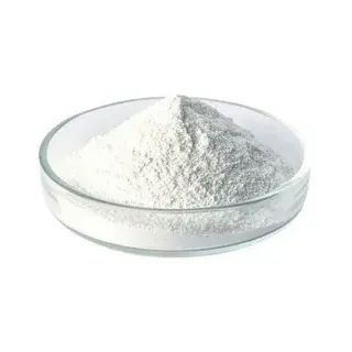 chitosan powder