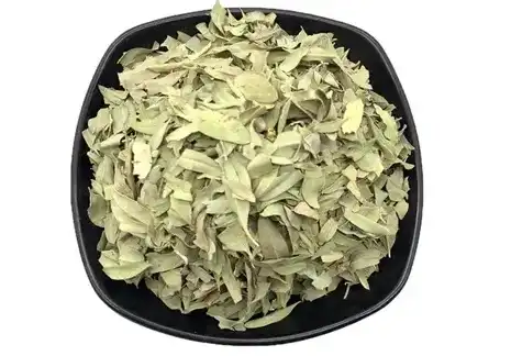 Pure Lotus Leaf Extract Powder