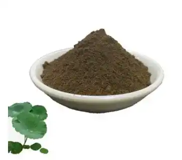 Lotus Leaf Extract Powder