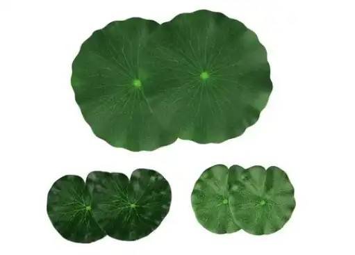 Lotus Leaf Extract