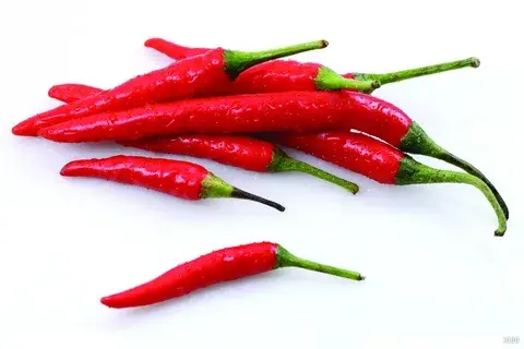 Capsaicin Powder