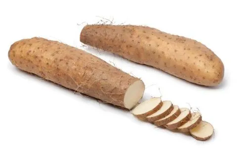 Wild Yam Extract Powder