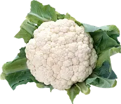 cauliflower powder