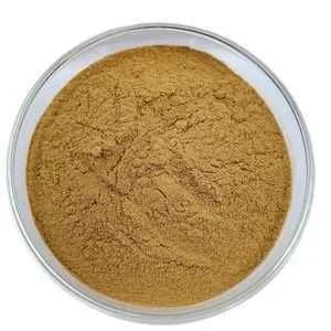 Siberian Ginseng Extract