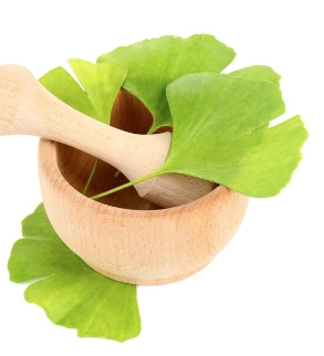 Ginkgo Biloba Extract Powder