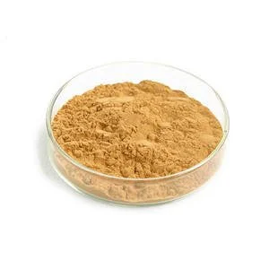 Ginkgo Biloba Extract Powder