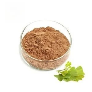 Ginkgo Biloba Extract Powder