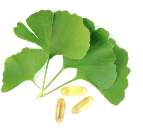 Ginkgo Biloba Extract Powder