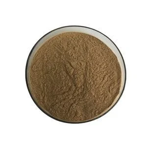 Ginkgo Biloba Extract Powder