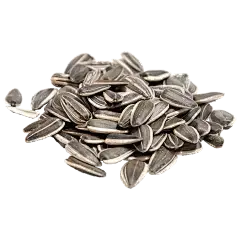 Sunflower Seed