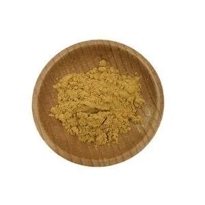 peppermint extract powder