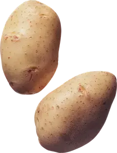 Potato Protein Potato Protein