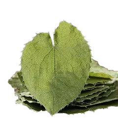 Icariin Powder Icariin Powder