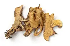 polygonum cuspidatum root extract