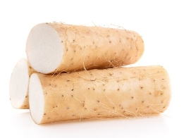 wild yam extract powder