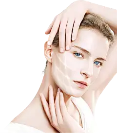 Rosmarinic Acid Powder for Skin Health and Beauty