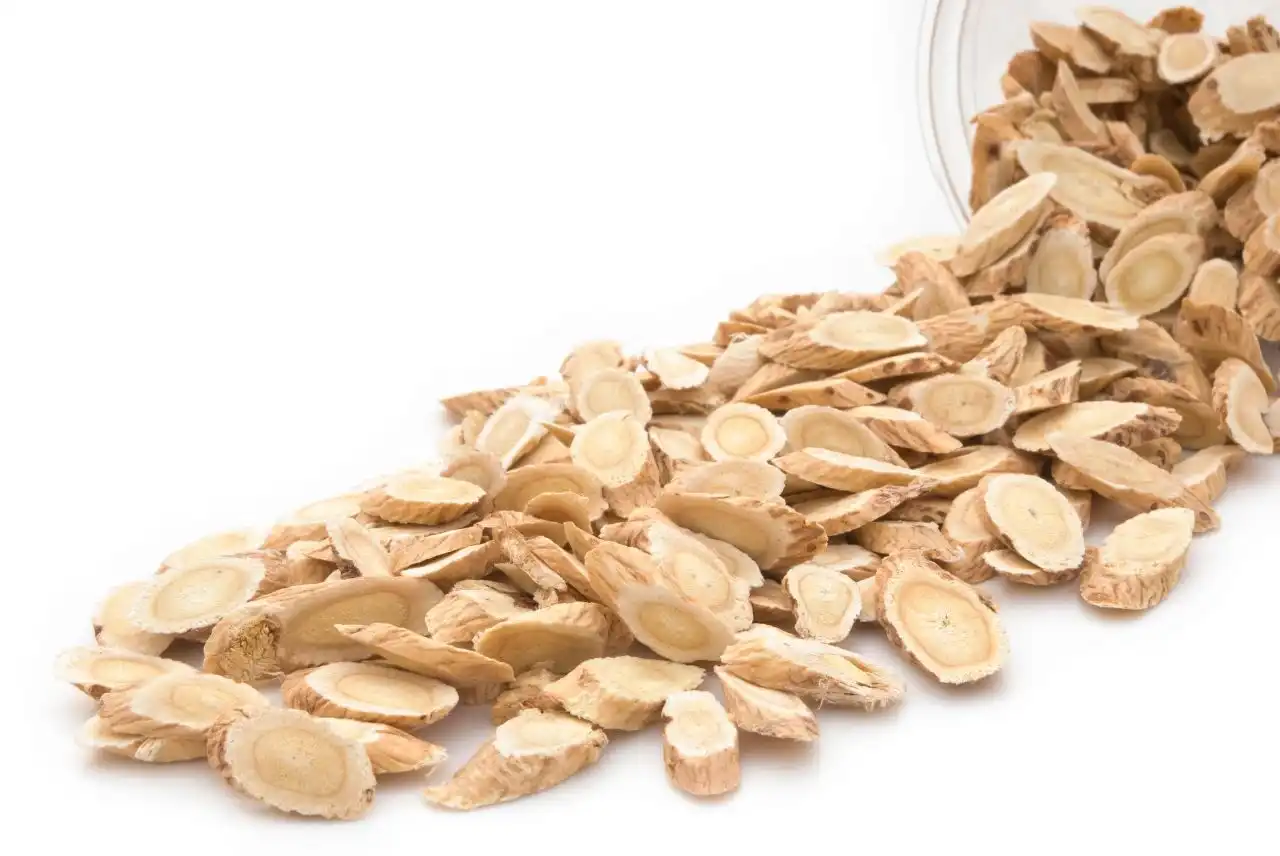 Astragalus Root Extract Powder