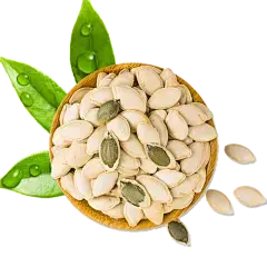 Pumpkin Seed Protein Powder