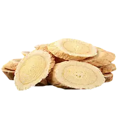 Astragalus Root