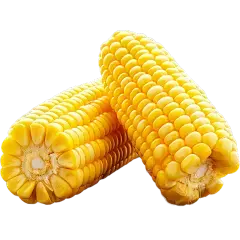 Corn Oligopeptides Peptide