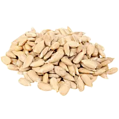 Sunflower Seed