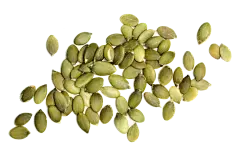 Organic Pumpkin Seed Protein 