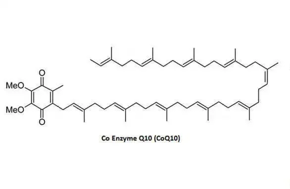 coenzyme Q10 powder