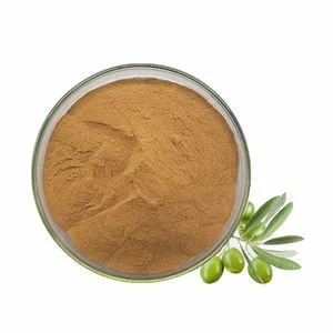 Olive Leaf Extract Powder