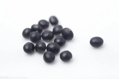 Black Soybean Powder Black Soybean Powder