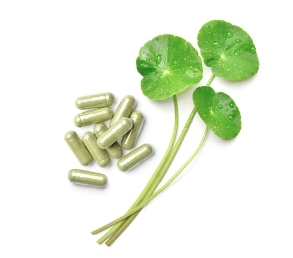 Gotu Kola Supplement