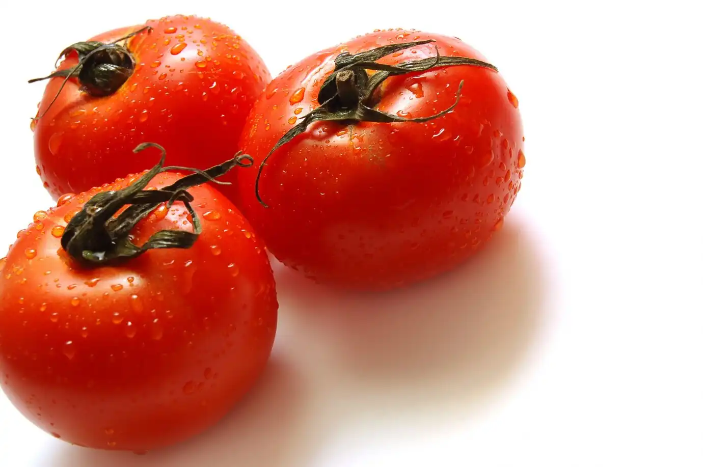 Lycopene