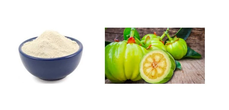 Garcinia Cambogia Extract Powder