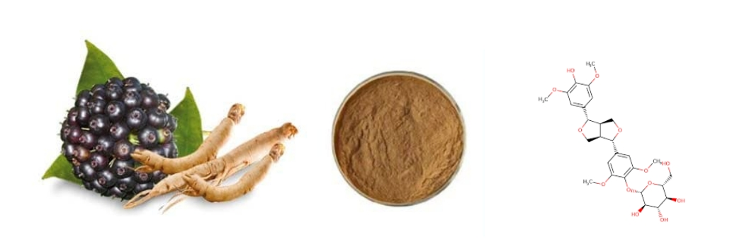 Siberian Ginseng Extract