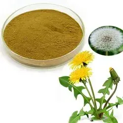 Dandelion Root Extract Powder