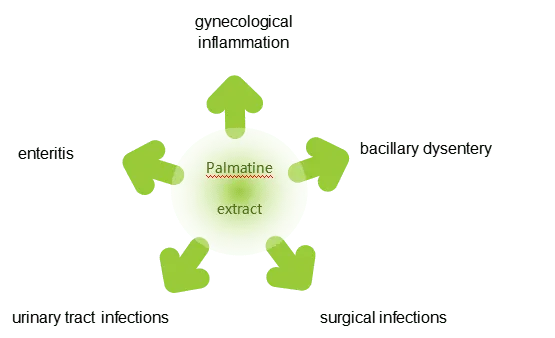 Palmatine Extract