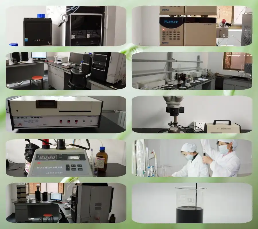 Palmatine Extract Palmatine Extract