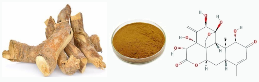 Tongkat Ali Extract Powder