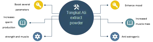 Tongkat Ali Extract Powder