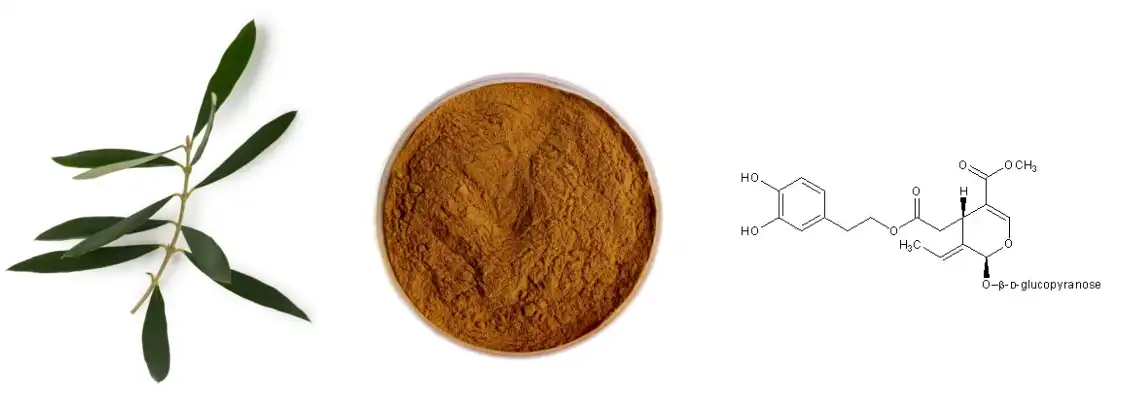 Olive Leaf Extract Powder