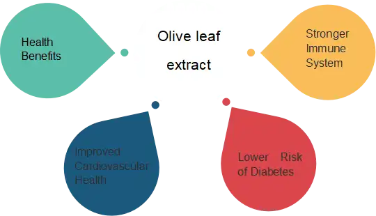 Olive Leaf Extract Powder