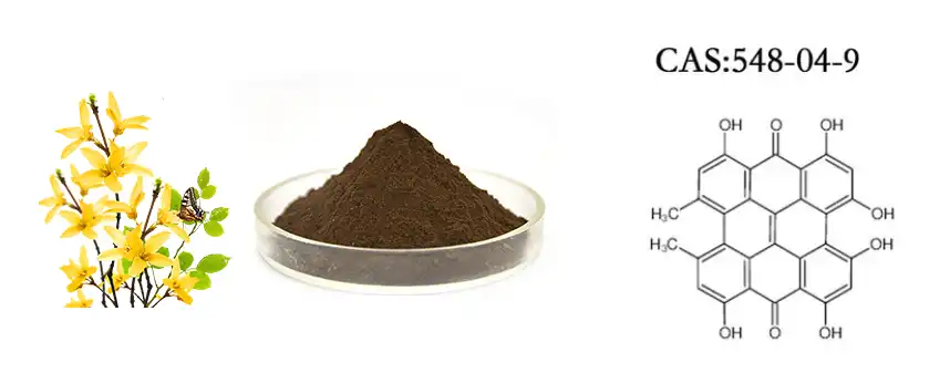 St John's Wort Extract Powder