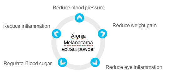 Aronia Extract Powder Aronia Extract Powder
