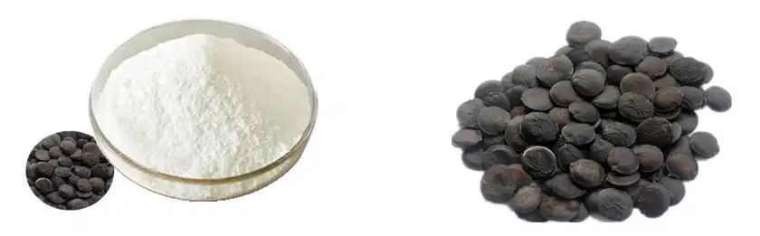 Griffonia Seed Extract Griffonia Seed Extract