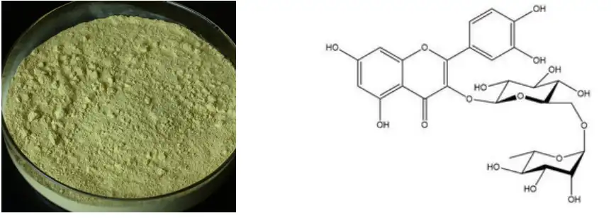 Rutin Extract